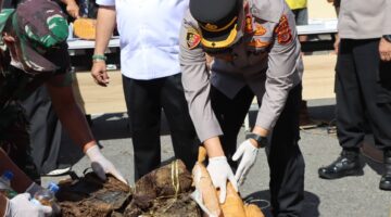 Polres Agara Musnahkan Narkotika Hasil Pengungkapan Kasus, Bupati Apresiasi Kinerja Polres Aceh Tenggara